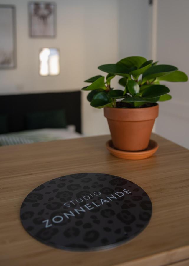 Zonnelande - comfort studio Zoutelande Esterno foto